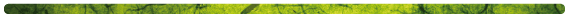 stacks_image_838D376D-DDBE-42BC-869D-8A1073DD9524