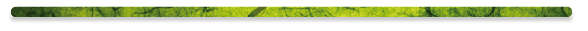 stacks_image_22931133-1628-4BA5-8AE4-A8E321B82F04